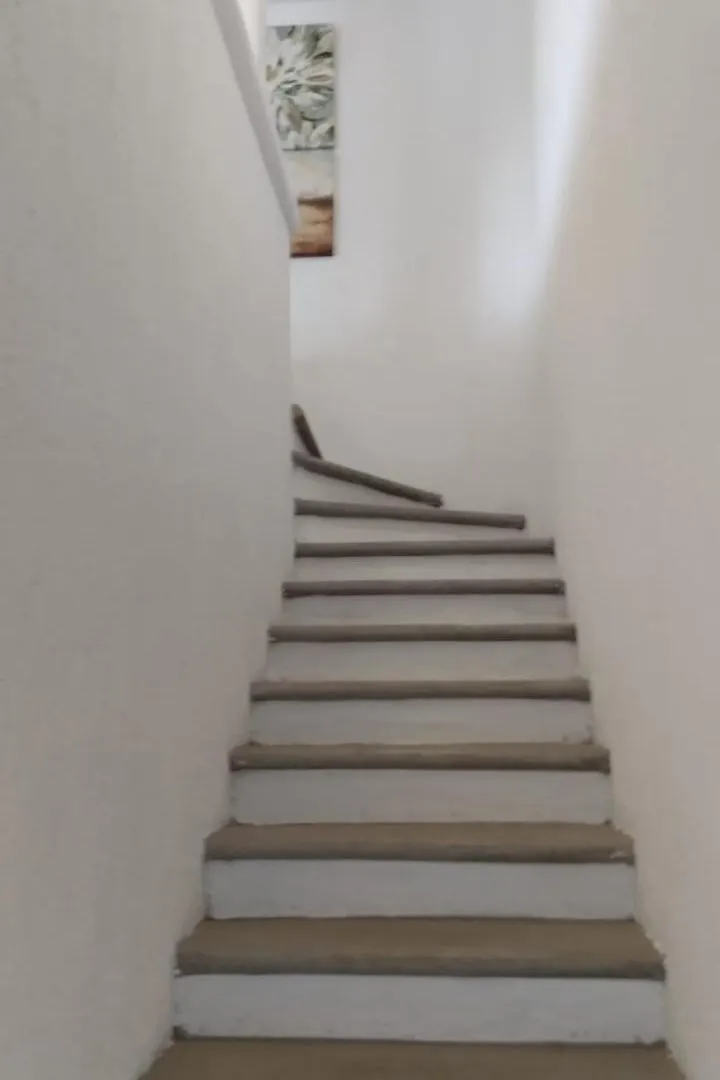 Cozumel-1 Bed 1 Ba Paradise Lejlighed