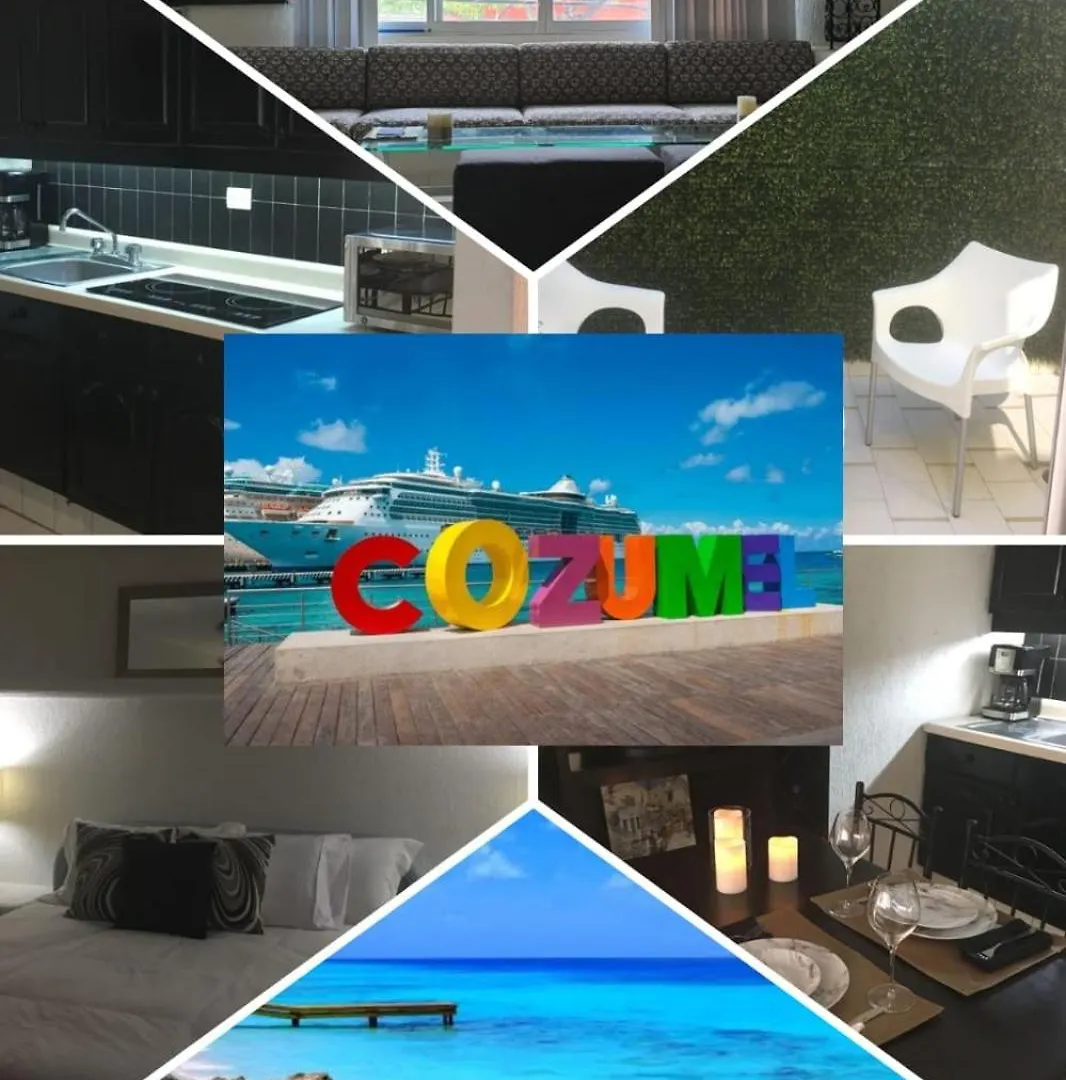 Cozumel-1 Bed 1 Ba Paradise